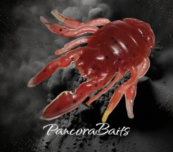 pancora marron oscuro